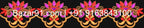 10 pcs Free Border Designs (DST Format )For Brother Ricoma HSW Fortever Melco SWF All Type Computerized Embroidery Machines - Bazar91